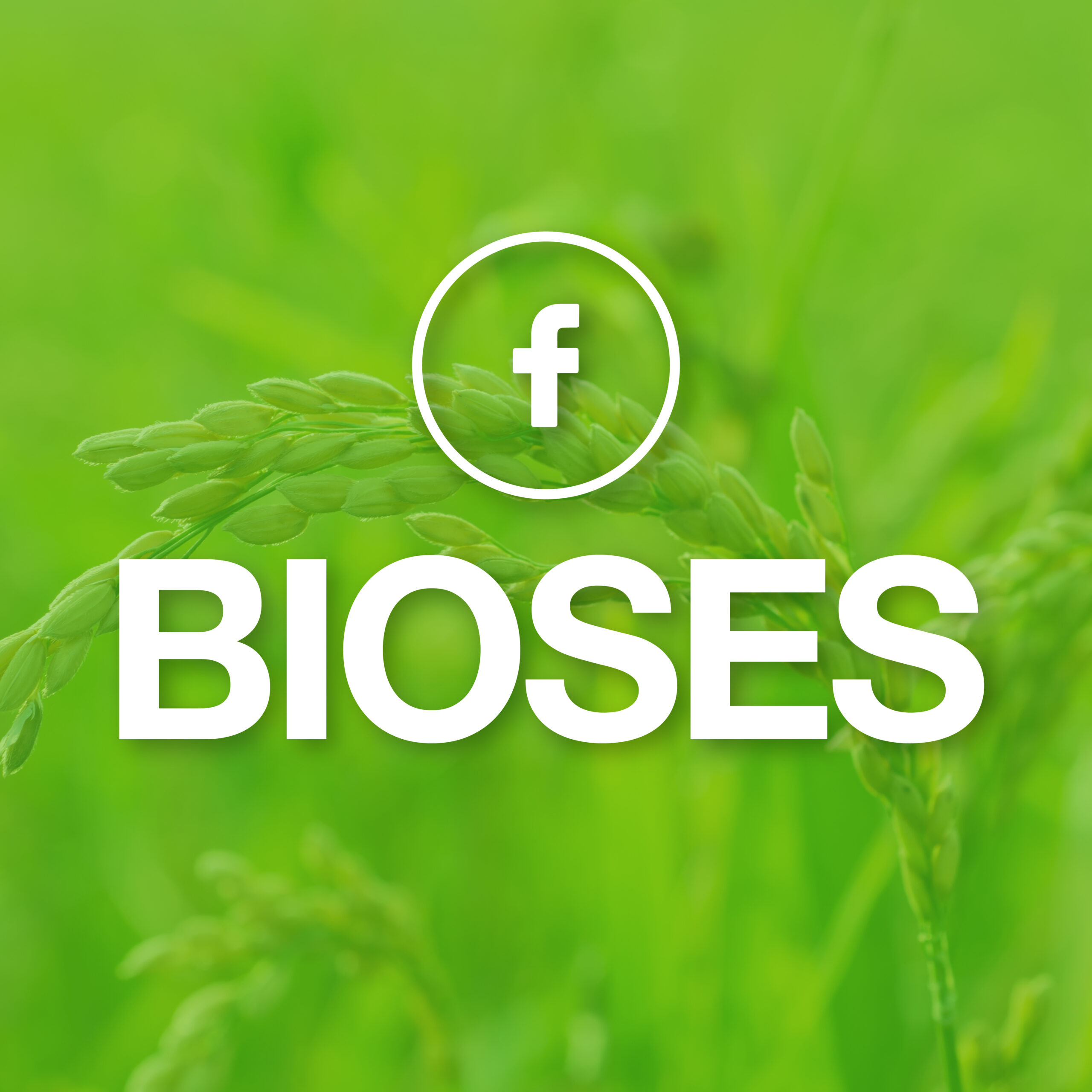 BioSES Logo
