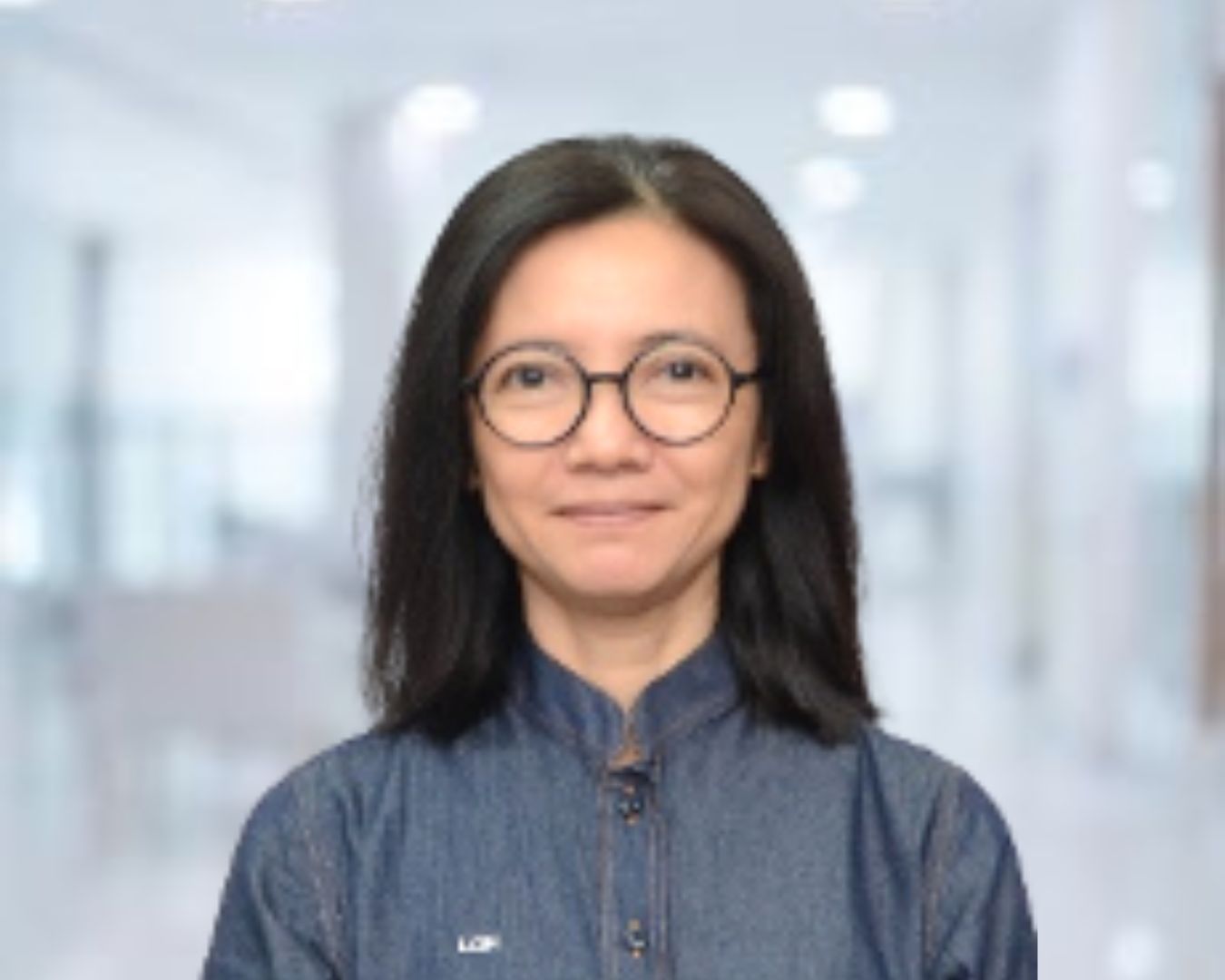 Assoc. Prof. Chm. Dr. Maisara